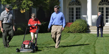 Bub (11) mäht für Trump den Rasen