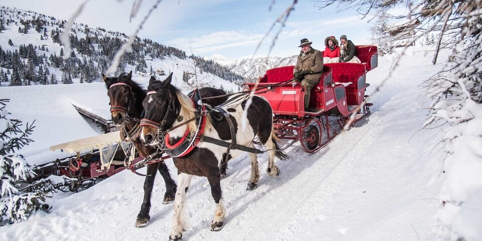 Romantische Pferdeschlittenfahrt durchs Winter Wonderland.