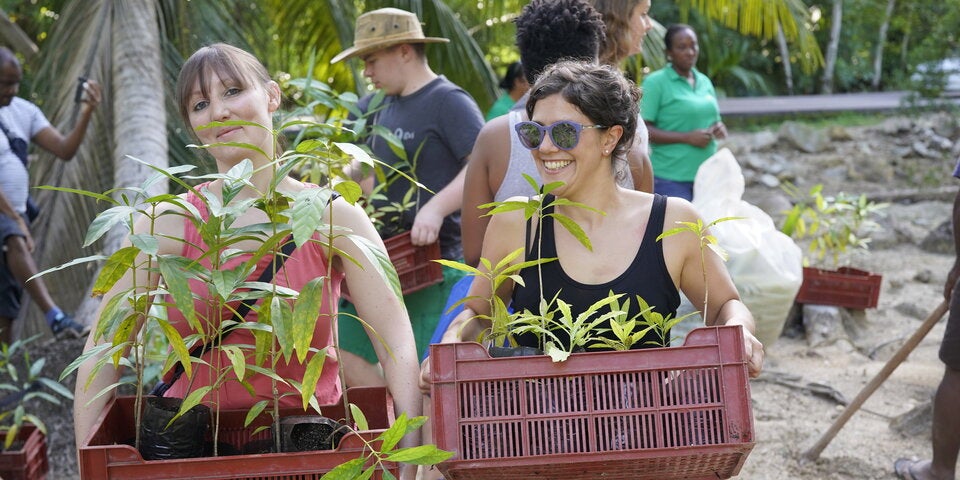 Frauen tragen Pflanzen Stecklinge