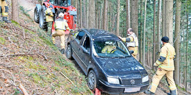 Verbotene Spritztour: Navi f&uuml;hrte Lenker auf Holzweg