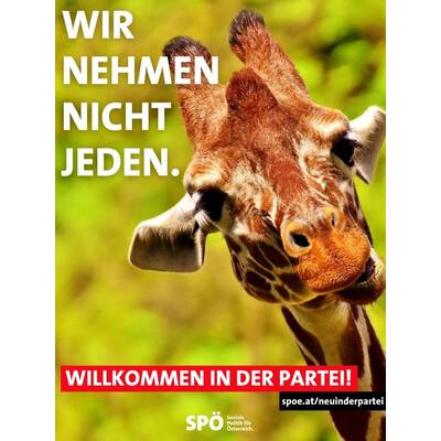 Schnitzel & Co.: Die kuriose Kampagne der SPÖ