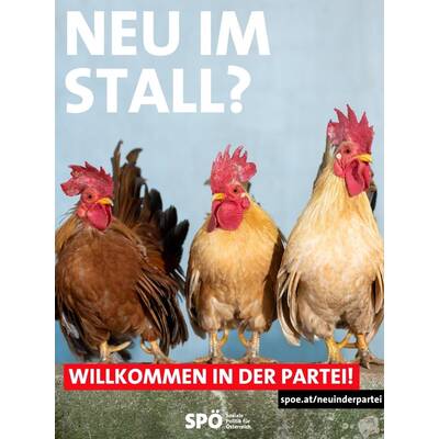 Schnitzel & Co.: Die kuriose Kampagne der SPÖ