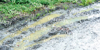 Versinkt Robbie im Schlamm?