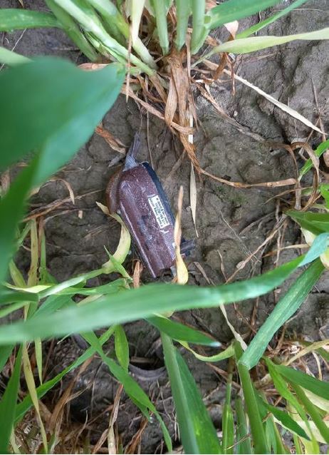 Die am Sender gesicherten Spuren werden derzeit ausgewertet. 