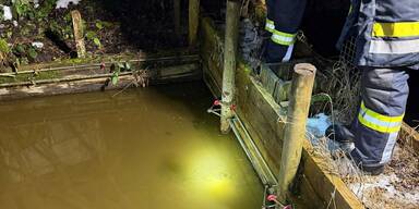 Teiche und Brunnen durch G&uuml;lle verunreinigt