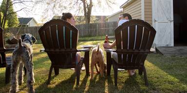 Die 5 wichtigsten Gartenwerkzeuge