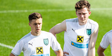 Baumgartner Gregoritsch