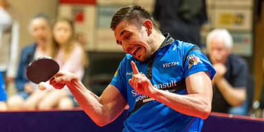 Wiener Neustadt Tischtennis