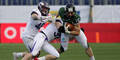 Vienna Vikings Danube Dragons