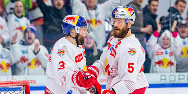 Eishockey Raffl Schneider