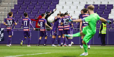 Young Violets BW Linz