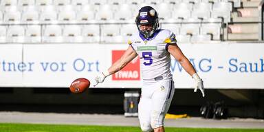 Vienna Vikings
