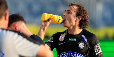 Spital! Sturm-Star verschluckt Biene