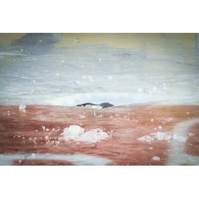 Spielabbruch wegen Eisschmelze bei Vienna Capitals gegen RB Salzburg