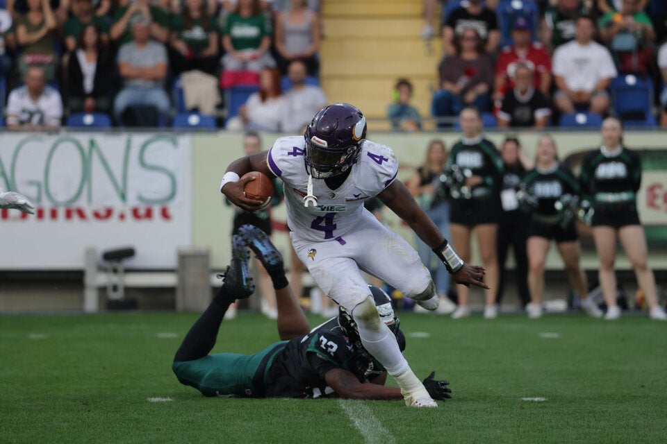 Vikings Dragons Minor-Shaw