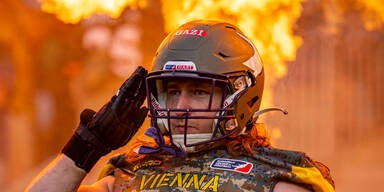 Vienna Vikings