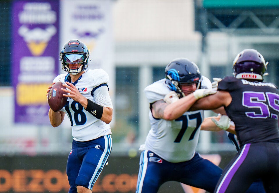 Vienna Vikings Nordic Storm