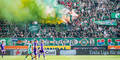Rapid Fans