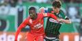Ried Rapid