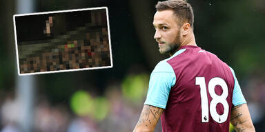 Arnautovic