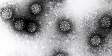 GERMANY MEDICINE NOBEL PRIZE