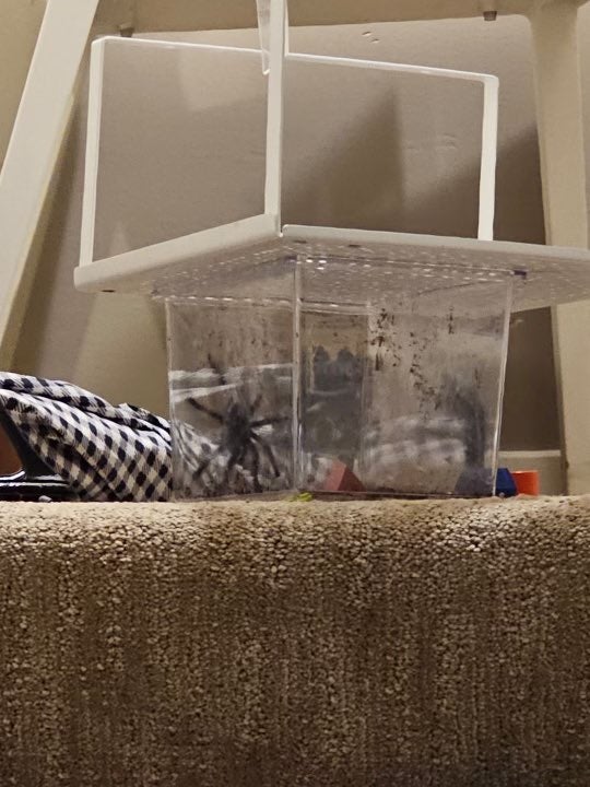 GQ3uTOCWUAA538Q.jfif