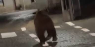 Bär