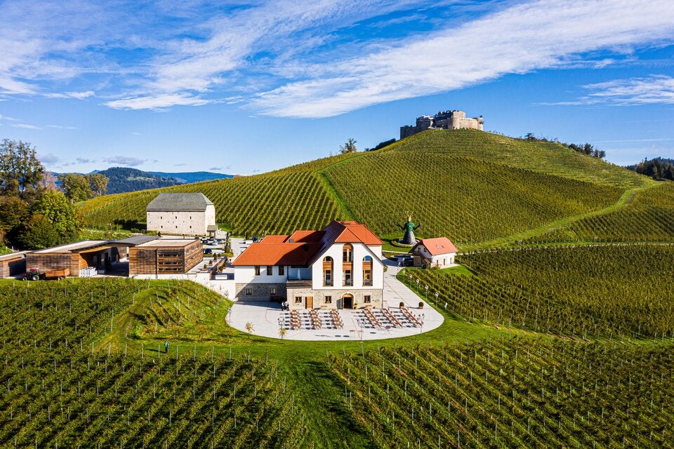 Gut Taggenbrunn umfasst 40 Hektar Weinberge und ein Boutique-Hotel.