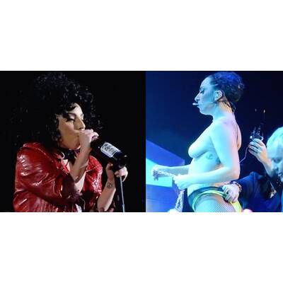 Das österreichische Society-Jahr 2014