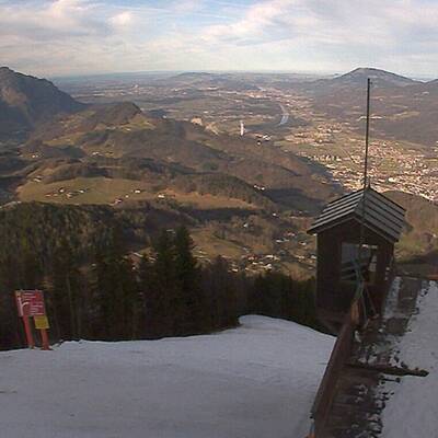 So grün ist derzeit Österreich