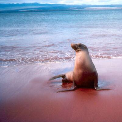 Die schönsten Naturwunder