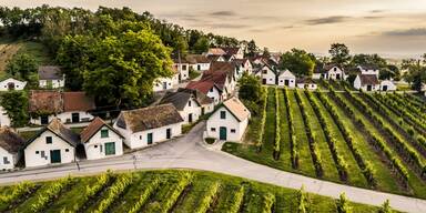 Gr&uuml;ner Veltliner ist der Exportschlager