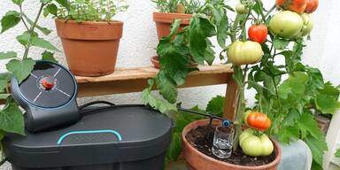 Shopping CH Balkonbew&auml;sserung Aufmacher Gardena Aqua Bloom