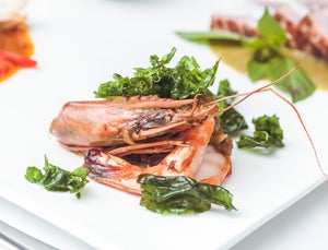 blue elephant / Philipp Lipiarski