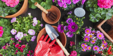 So wird der Garten fit f&uuml;r den Fr&uuml;hling