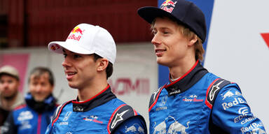 Pierre Gasly Brandon Hartley