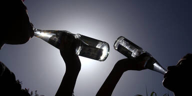 Gasteiner will 2012/13 Exporterl&ouml;se verdoppeln