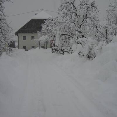 Schneeregen in Wien