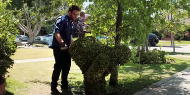 Disney-Star Zac Efron: b&ouml;ser Nachbarschaftskrieg