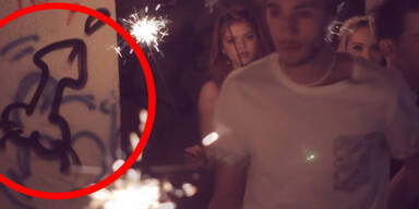 Unfreiwilliger Videohit