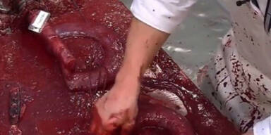Promis kochen mit literweise Blut!