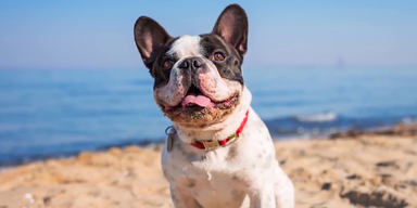 Gesetznovelle (2).png