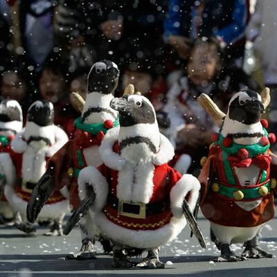 Weihnachtsmänner aus aller Welt