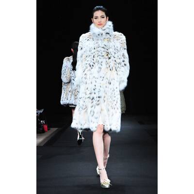 Royal Chie Collection