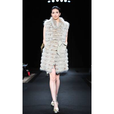 Royal Chie Collection