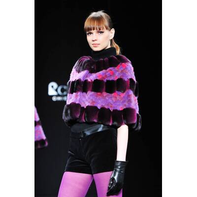 Royal Chie Collection