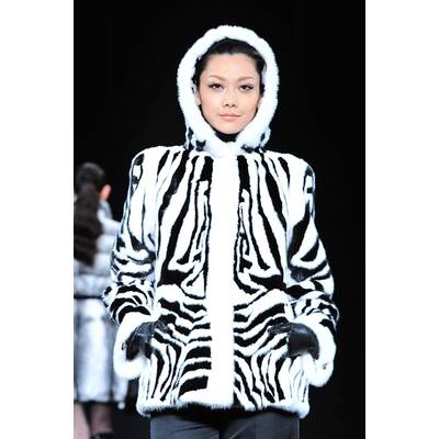 Royal Chie Collection