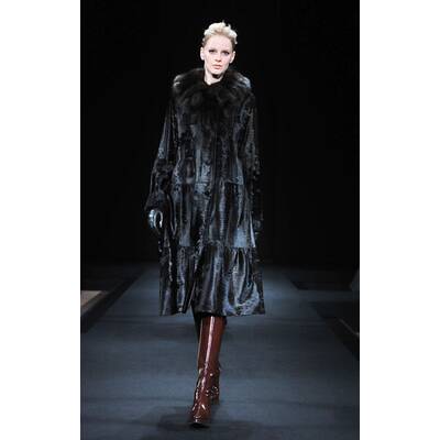 Royal Chie Collection