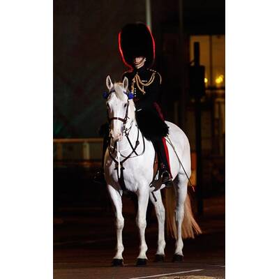 Generalprobe für die Hochzeit des Jahres