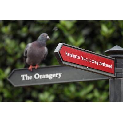 Prinz William und Kate: Ihre neue Residenz in London